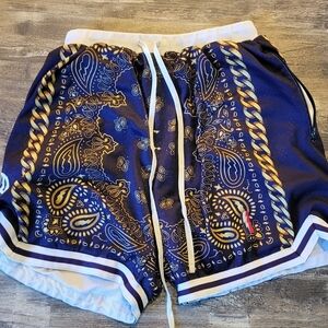 Collect & Select Basketball Shorts Purple/Gold Large